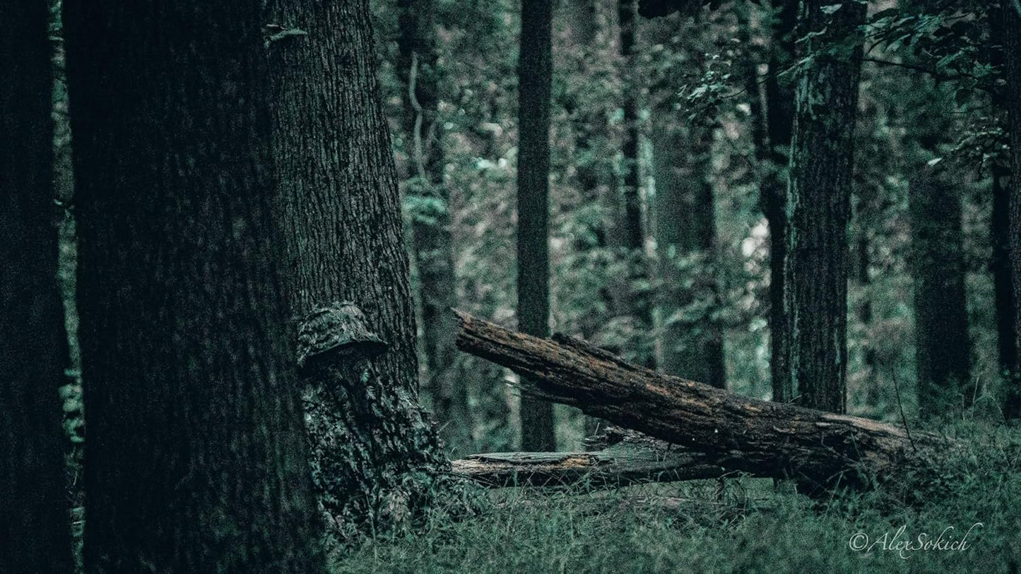 Realtree & Mossy Oak 3D Leafy Camo Face Mask Bucket Hat for Men Deer Duck and Turkey Hunting (Fully Adjustable OSFM)